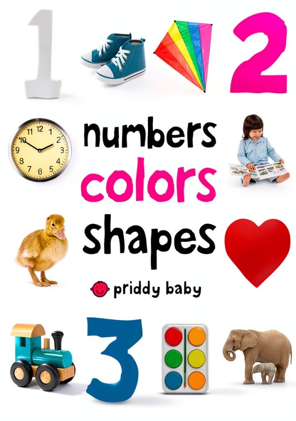 Priddy Books US First 100 Vocabulary & Spelling for 1-3 Years-0