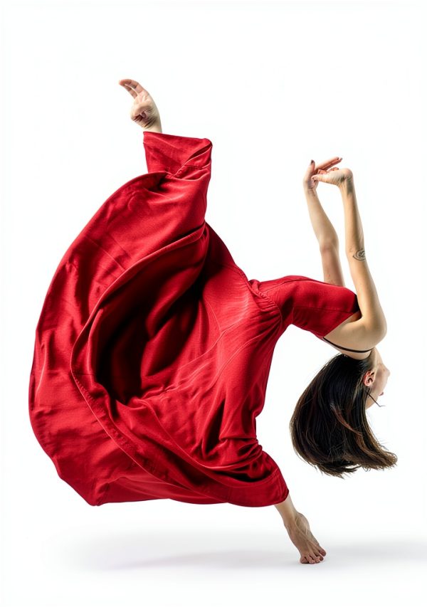 The Dance Book 2nd Edition Classical Guide by Human Kinetics 395 Pages-0